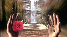 Najee Feat Freddie Jackson - All I Ever Ask - Videoclip.bg