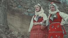 Gjoko Jovik - Ergeni se zbrale - Videoclip.bg