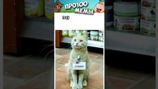 #приколы #мемы #мем - Videoclip.bg