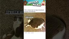 Мемы 2023 #приколы #мемы #мем - Videoclip.bg