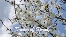 Честита Първа Пролет! Dream of Spring ( Relaxing music ) - Videoclip.bg