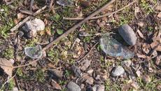 Дете пострада сериозно след като се наряза на стъкла докато тренира футбол в Пловдив - Videoclip.bg