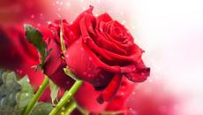 Божественная музыка трогает сердце! Невероятно красивая осенняя мелодия! Музыка Сергей Грищук Часть4 - Videoclip.bg