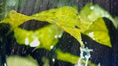 Наталья Влади   -   Я буду о тебе молчать. - Videoclip.bg