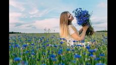 Сумин А.   -    КАК ДАВНО Я НА РОДИНЕ НЕ БЫЛ - Videoclip.bg