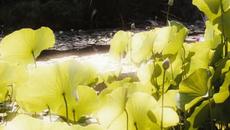 Мисия Серенити  Serenity  (2005) Бг Аудио Част 2 - Videoclip.bg