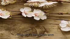 Честита Първа Пролет (first Spring) 2014 с Music You Are My Spring - Videoclip.bg