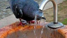 Прогноза за времето - Идват още жеги! - Трета гореща вълна обхвана Испания 11.08.2023 г. - Videoclip.bg