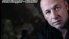 Mark Knopfler - Bluebird - lyrics - Videoclip.bg