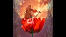 НИК & АНТОАН В ДРУГО ВРЕМЕ И В ДРУГ ЖИВОТ - Videoclip.bg