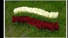 Една българска роза - Вземи във този хубав ден една българска роза от мен - Videoclip.bg