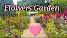 Мой любимый сад цветов.Такие цветы вы еще не видели. Август 2023 - Videoclip.bg