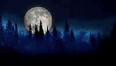 Боян Иванов - Когато те чаках - Videoclip.bg