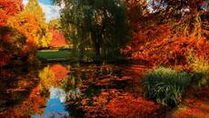 Один день осени... Красивая, добрая, нежная расслабляющая музыка для души! Послушайте эту мелодию! - Videoclip.bg