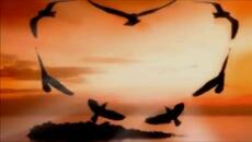 QUEEN - Las Palabras De Amor (The Words Of Love) - BG субтитри - Videoclip.bg