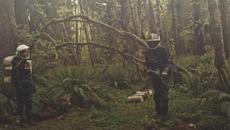 Перспектива (2018) / Prospect БГ Субтитри - Videoclip.bg