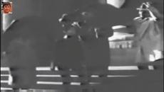 Лили Иванова (1964) - Ако имах чук - Videoclip.bg