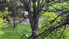 Police investigate serious sexual assault in Princes Street Gardens - Videoclip.bg