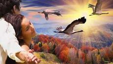 Игорь Горбушин   -   ЖУРАВЛИ - Videoclip.bg