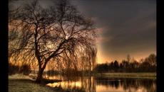 Весо и Митака   Неделя без край - Videoclip.bg