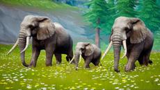 Wild Animals Fights - Elephants vs Big Brown Bear | Baby Elephant Rescue | Wild Animal World - Videoclip.bg