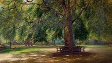 Камен Тодоров – „Старият чинар“ (поезия) - Videoclip.bg