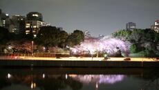 Tokyo Night - Videoclip.bg