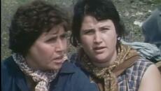 Bulgarian gajda song "Todora says to Todor" - Videoclip.bg