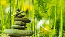 Лучшая утренняя музыка - Счастливое пробуждение с позитивной энергией - Медитация,Йога, Релаксация - Videoclip.bg