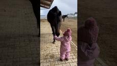 Малко дете момиченце и кон - забавно видео - Videoclip.bg