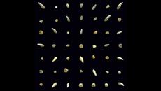 clipping. - Visions of Bodies Being Burned (Full Album 2020) - Videoclip.bg