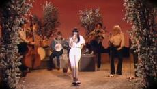 Lily Allen - Not Fair - Videoclip.bg