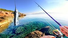 ИМА ЛИ РИБА МЕЧ в ГЪРЦИЯ?!? - Videoclip.bg