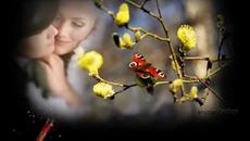 Здравей Пролет! С много обич и цветя - Videoclip.bg