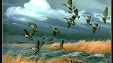 Сумин   -    ПТИЦЫ ЛЕТЯТ НА ЮГ - Videoclip.bg