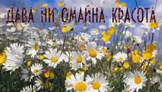 Пролетта идва с Нежна Музика !The Spring Music - Videoclip.bg