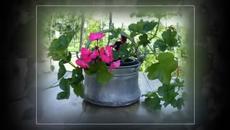 Мамо, снощи те сънувах - Илия Луков - Videoclip.bg