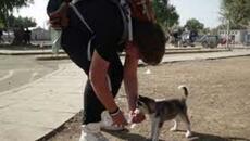 Mladi izbjeglica i njegov ljubimac u bijegu pred ratom u Siriji propješačili više od 500 kilometara (2015.) - Videoclip.bg