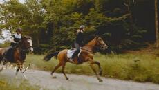 Dj.Daliver&LiLoveLi -  Never Give Up   (Best Ambient  Instrumental Music) - Videoclip.bg