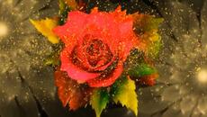 Григорий Герасимов - Медленно уходит осень - Videoclip.bg