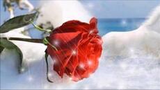 F.R. David – Words - Videoclip.bg