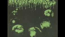 Agathocles - Agarchy - Videoclip.bg