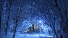 Мария Нейкова - Пада сняг - Videoclip.bg