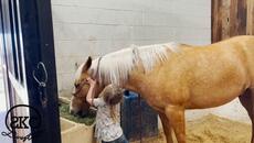 Mомиченцето с коня - Videoclip.bg