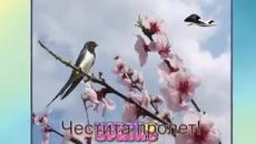 Честита пролет 2014! - Videoclip.bg