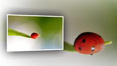 С дъх на пролет! - Videoclip.bg