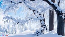 Зимняя ягода! Падал снегснег! Лечебная музыка для сердца и сосудов! Эту музыку можно слушать вечно - Videoclip.bg