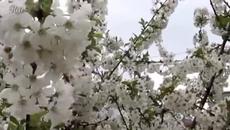 Пролет е! - Мими Иванова - Videoclip.bg