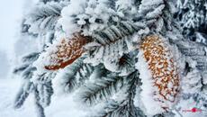 Невероятно чарующая и Вдохновляющая музыка Сергея Чекалина для души, Хочется слушать бесконечно - Videoclip.bg