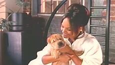 A Few Good Men - Have I Never - Videoclip.bg